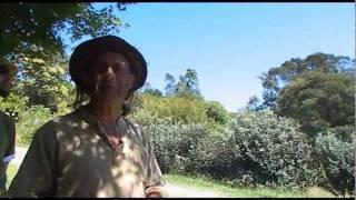 Brogo Permaculture Gardens with John Champagne