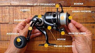 Carrete de pesca spinning mantenimiento