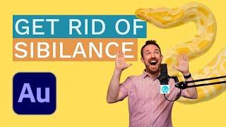 How To Get Rid of Sibilance in Audition