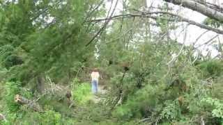 Trail Damage from Tropical Storm Arthur