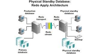 Oracle Physical Standby Database Tutorial: Step-by-Step Setup Guide