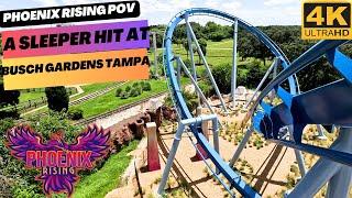 New Phoenix Rising at Busch Gardens Tampa | Front Row POV | A Sleeper Hit
