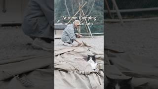 和那堤的秋季露營 Solo Autumn Camping with My Cat Latte