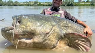 Pescador captura bagre gigante na italia, e bate record mundial