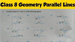 Class 8 Geometry Parallel Lines Exercise | Geometry Class 8 | Find The Value of x