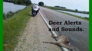 Do Deer Alerts work.  Ride along and hear.