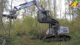 Waldpflege - Raupenbagger & Greifersäge Durchforstung, Baumfällung, tree cutting forest machines