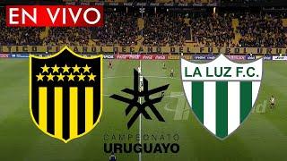 PEÑAROL VS LA LUZ EN VIVO