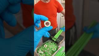 Insane Candy Creations That Will Astound You!