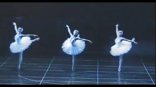 大きな白鳥達の踊り「白鳥の湖」、ルーマニア国立バレエ　"Swan Lake" Dance of the Big Swans,Romanian National Ballet