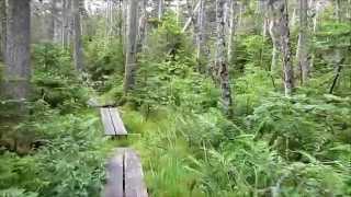 Descending Lend-a-Hand Trail from Mount Hale