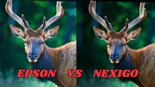 Epson EpiqVision Flex CO-FH02 vs NexiGo PJ40 (Gen 3) - Picture Quality Comparison