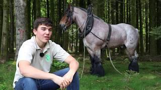 Antoine, 17 ans, débardeur et amoureux des chevaux de trait