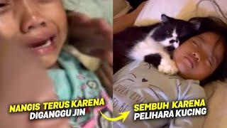 MASYAALLAH.! Baru Dipelihara, Seekor Kucing Ini Mengusir Jin yang Mengganggu Anak Kecil Setiap Malam