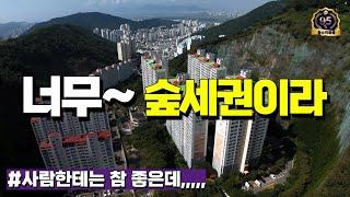 [풍수-숲세권아파트 #294] 숲세권아파트에 살면 이렇게 됩니다!!!