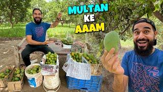 Multan ke mango farm chale gae  Islamabad ka safar shuru hogaya 