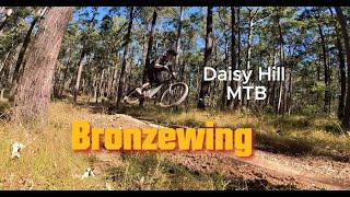 Daisy Hill MTB Bronzewing Edit