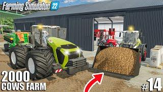 Building POTATO SORTING FACILITY and SORTING POTATOES | 2000 Cows Farm Ep.14 | Farming Simulator 22