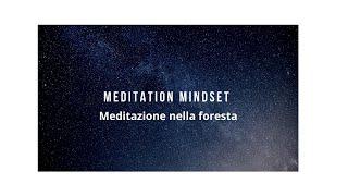 meditazione nella foresta