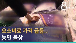 [G1뉴스]요소비료 가격 급등..농민 울상