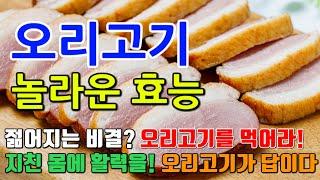 오리고기의 놀라운 효능 8가지 & 부작용 / 이 음식 하나로 콜레스테롤 걱정 끝! 오리고기의 비밀 