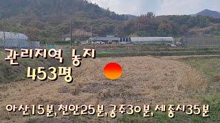 17번 충남 공주시 유구읍 덕곡리 453평의 농지임 전원주택매매 전원주택지매매 농가주택매매 시골집매매 토지매매 싼땅전문저렴한토지매매 급매물전문  귀농귀촌/공주부동산 유구부동산