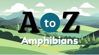 A to Z Amphibians: Exploring Every Species from A to Z