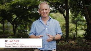 Joe Neal, NC State Extension, Weed Science Specialist for Nursery, Landscape, and Christmas Trees