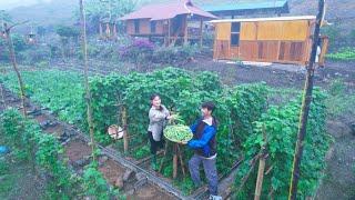 4 Years of Living in the SUSTAINABLE forest! Harvesting, selling, construction, garden, aquaculture