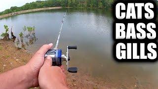 Fishing for Catfish, Bass, and Bluegill at the Same Time! (Realistic)