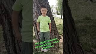 Р.Рожденственский, часть 2, читает Вованчел