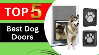 Top 5 Best Dog Doors for 2024 [Tested & Reviewed]