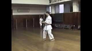 13 Okinawa Goju Ryu Kata