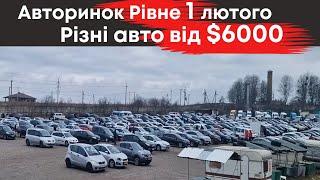 Різні авто на Рівненському авторинку від $6000 1 лютого #авторинокрівне