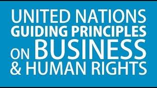 The UN Guiding Principles on Business and Human Rights: An Introduction