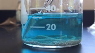 Copper and Silver Nitrate solution time lapse