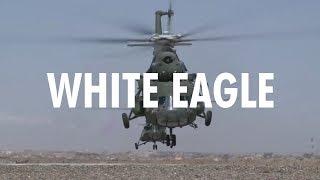 Task Force White Eagle - Afghanistan '13