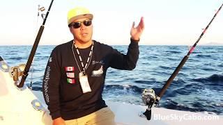 Client Project: Fishing Cabo San Lucas, Mexico