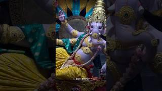 Beautiful Decoration by Bhaveshwar Cha Raja 2024 #viralvideo #shorts #trending