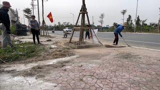 We cleaned 400m of a weed-filled sidewalk, a woman asked, "How?" I said, "With heart and dedication.