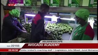 Avocado academy: Kakuzi pilots e-learning extension service