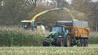 De laatste loodjes, Wemekamp hakselt een van de laatste velden mais van het seizoen (2024)