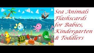 Animals - Sea Animals Flashcards for Babies, Kindergarten and Toddlers