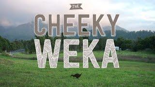 The Cheeky Weka