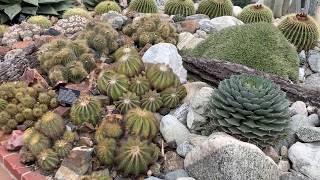 Beautiful Cactus Garden Tour -  Sherman Library