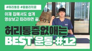 집에서 쉽게 따라하는 '허리 아플때 통증 없애는' BEST 운동 12주차