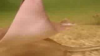 Sting Ray Attack!