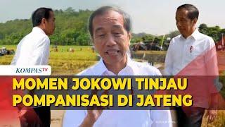 Presiden Jokowi Tinjau Program Pompanisasi di Jawa Tengah, Soroti Potensi Kekeringan