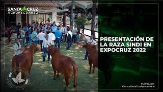 PRESENTACIÓN DE LA RAZA SINDI EN EXPOCRUZ 2022