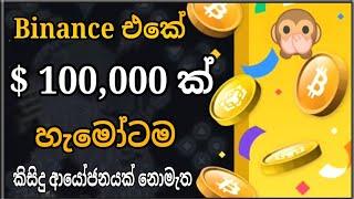 Binance Play & Earn Sinhala 2022 | Free BUSD | Binance Free Crypto #binance #busd #make #crypto